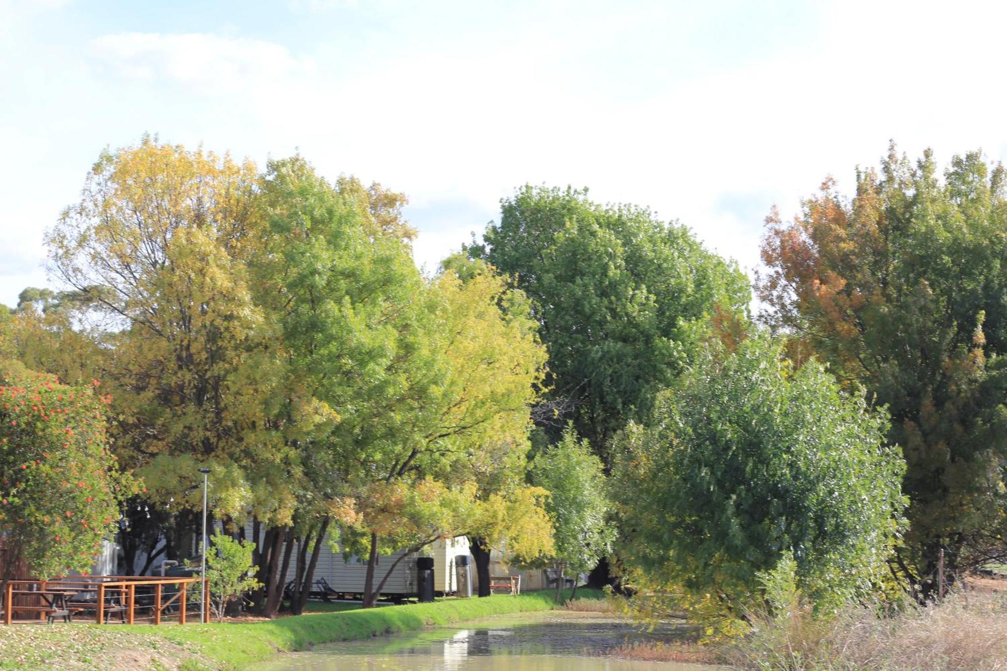 ホテル Kerang Holiday Park エクステリア 写真